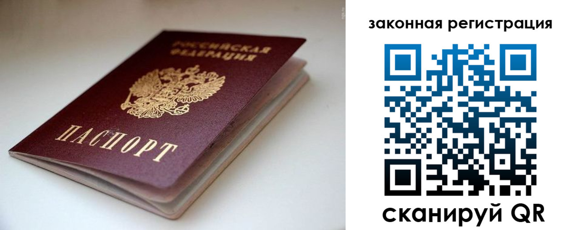 купить прописку в Елизово