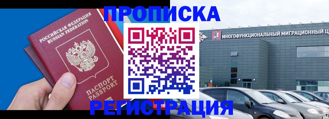 прописка для школы в Елизово